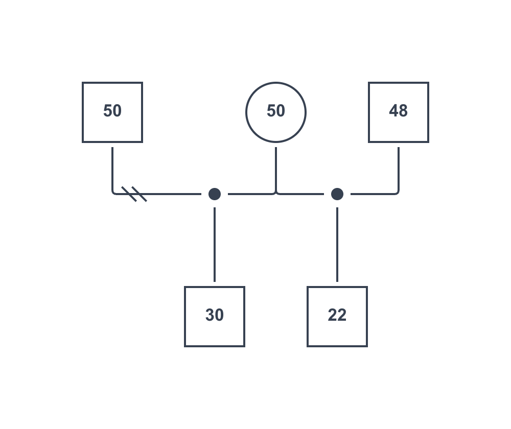 異父きょうだいのジェノグラムの例
